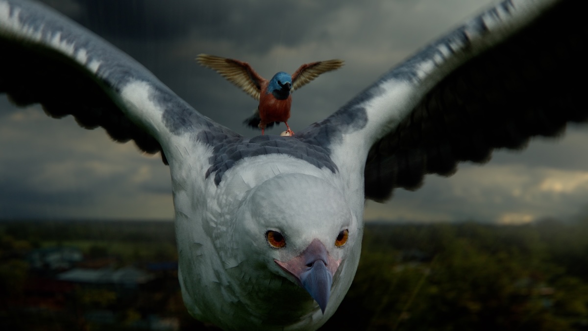 Allianz Australia launches new brand promise ‘Care you can count on’ via Howatson+Company ~ campaign film directed by FINCH’s Michael Gracey