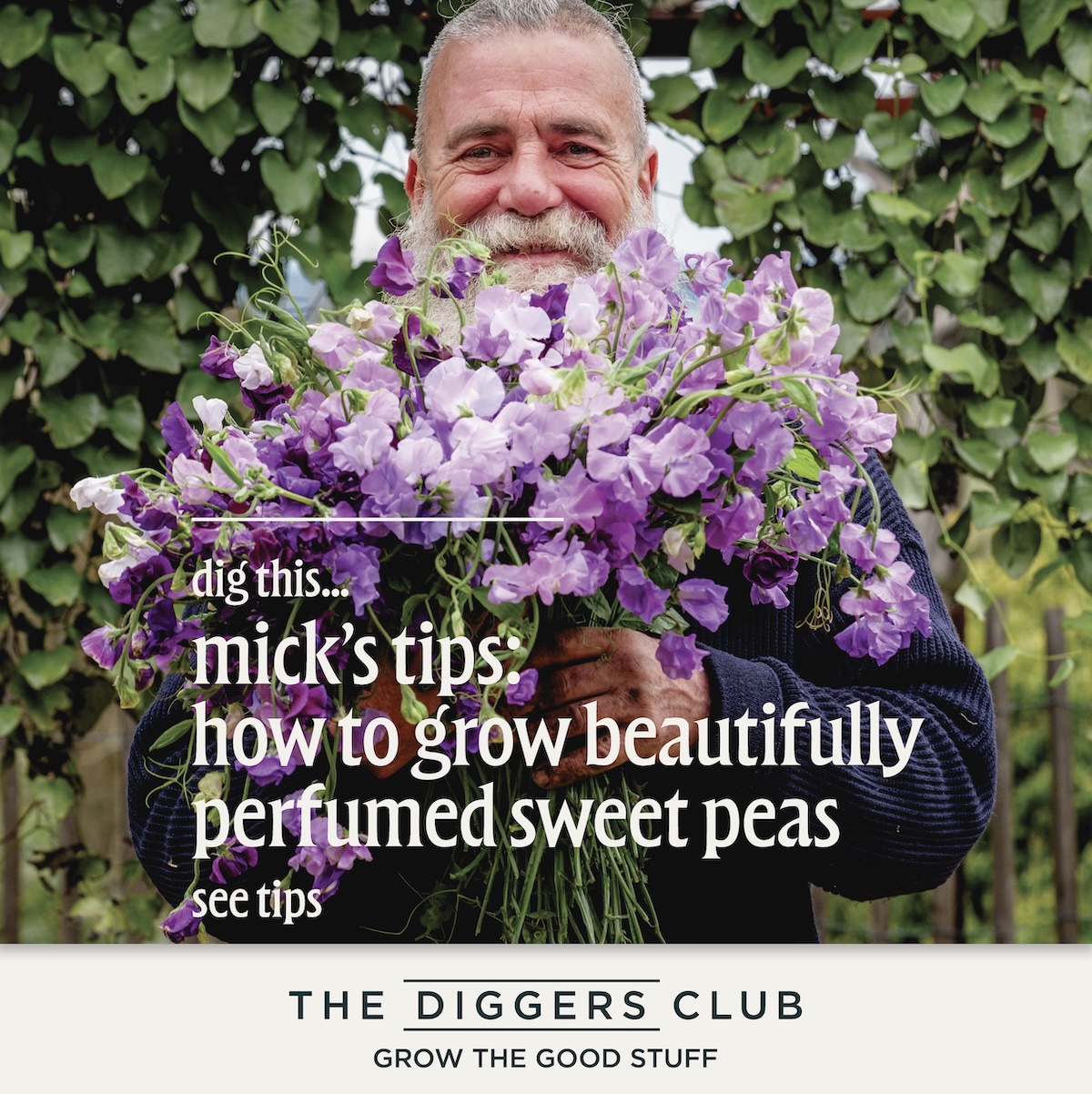 The Diggers Club unveils ‘Grow the Good Stuff’ via Destination Store + Stake The Reputation Company